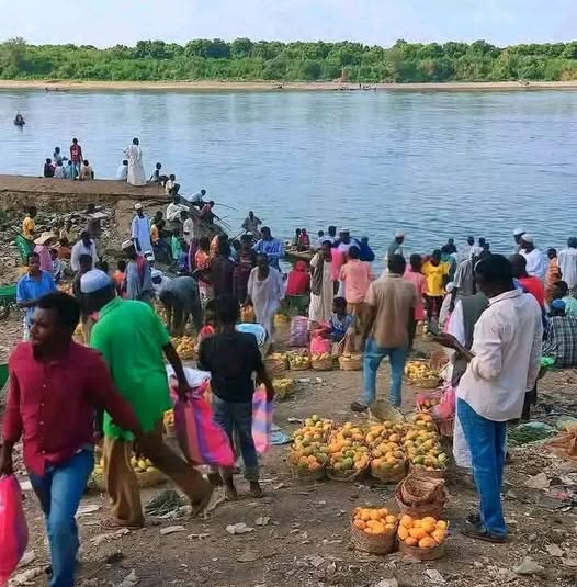 ما لا تُدركه الأيام