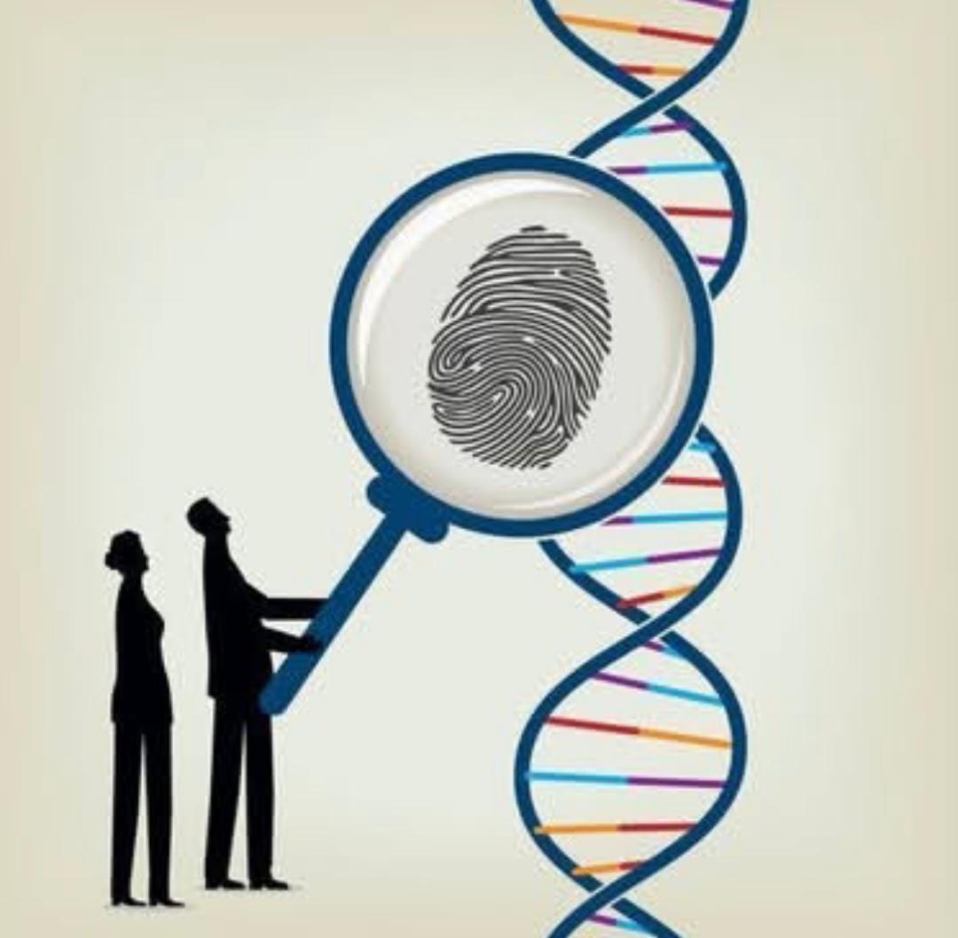 الجينوم و هندسة المجتمعات